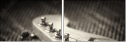 51861338