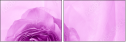 52109021