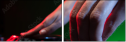 54778008