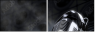 55593987