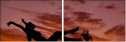 56391467