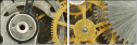 56949725