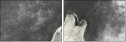 61243496
