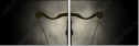 61356918