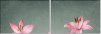 61954635