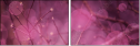64114474