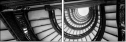 64699610