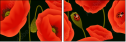64821989