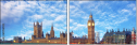 65956503