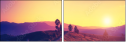 67236047
