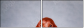 71939351