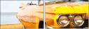 8686302