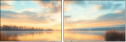 920067317