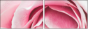 95247840