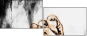 110688808