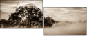 110890468