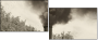 11284076