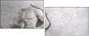 129360439