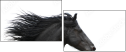 17865105