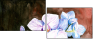21439779