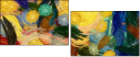 217494322