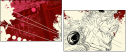 23706243
