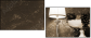 25666505