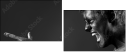 26417303