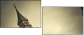 28559738