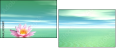29216817