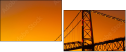 293004009