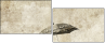 30497770