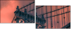 316642256