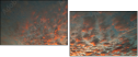 32897630