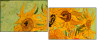 330378374
