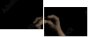 33360952