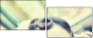 34322843