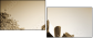 34463140