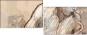 42960338