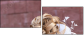 43471205