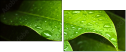 44282430