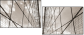 45668708