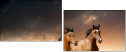 45981925