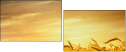 46459823