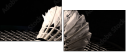 47111850