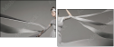 47917557
