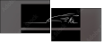 50163980