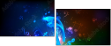 51623095