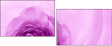 52109021