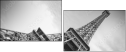 52165394